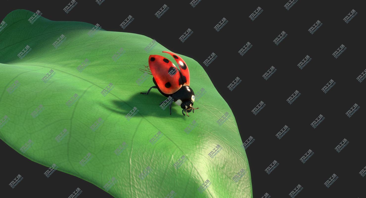 images/goods_img/2021040234/Ladybug Rigged Animated/3.jpg